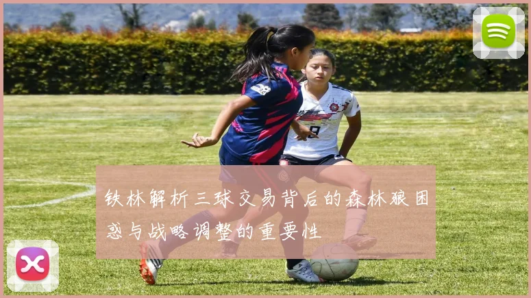 铁林解析三球交易背后的森林狼困惑与战略调整的重要性
